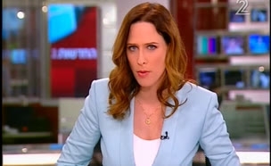 מאבק הנמלים נגד השרים ממשיך