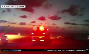 איך שעורי שחייה הפכו ליקרים כ"כ?
